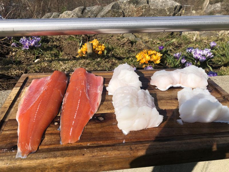 10 pakning Autosett Medium 