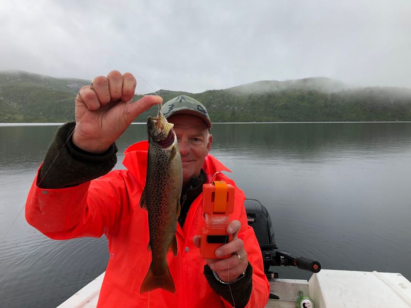 Autosett Small 3 kpl – automaattinen kalastus